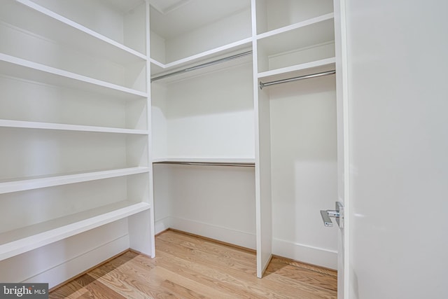 spacious closet with hardwood / wood-style floors