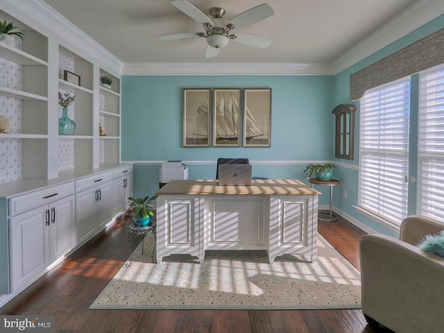 office area featuring ceiling fan, ornamental molding, and dark hardwood / wood-style floors