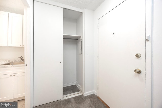 closet with sink