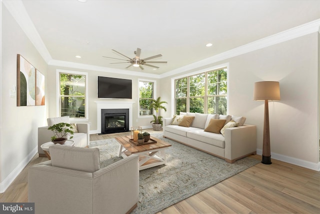 living room with ceiling fan, ornamental molding, and light hardwood / wood-style flooring