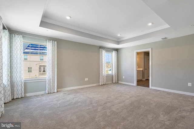 carpeted empty room featuring a healthy amount of sunlight and a raised ceiling