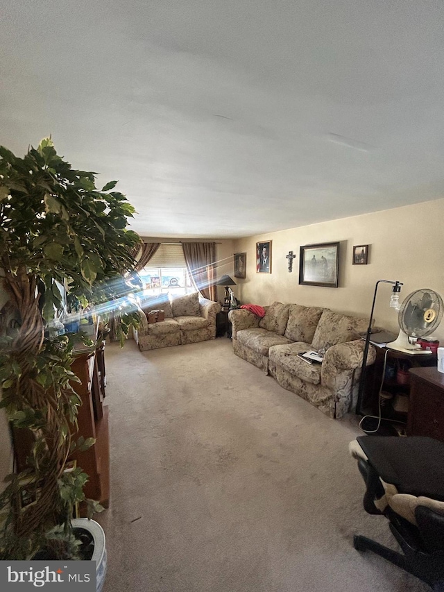 living room featuring carpet flooring