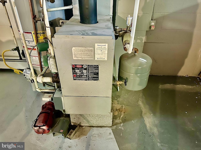 utility room with gas water heater