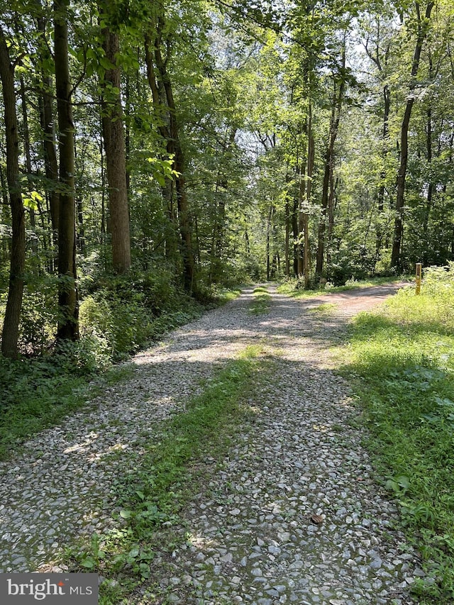 view of road