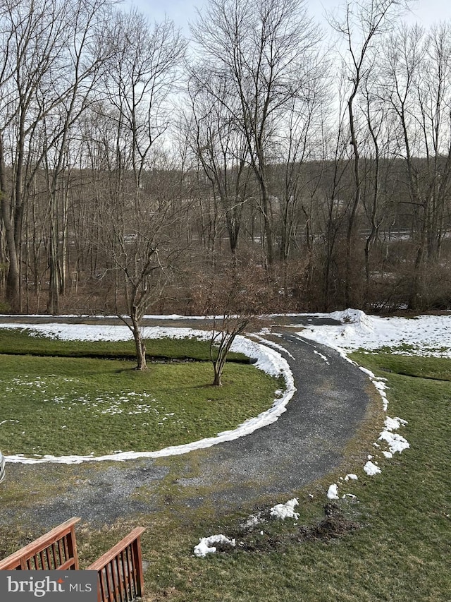 view of home's community featuring a yard