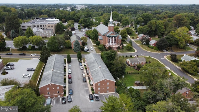 bird's eye view