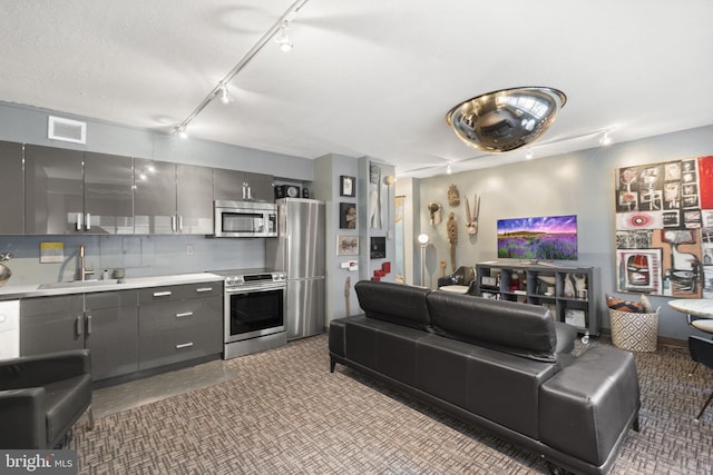 kitchen with appliances with stainless steel finishes, track lighting, gray cabinetry, a textured ceiling, and sink