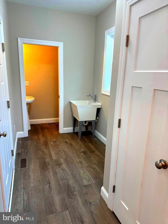 bathroom with wood-type flooring and sink