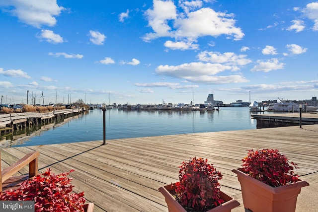 view of dock featuring a water view