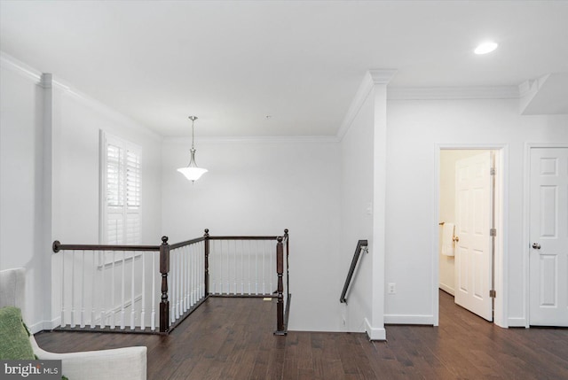 hall featuring dark hardwood / wood-style floors and ornamental molding