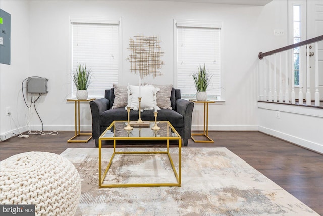 living room featuring dark hardwood / wood-style flooring