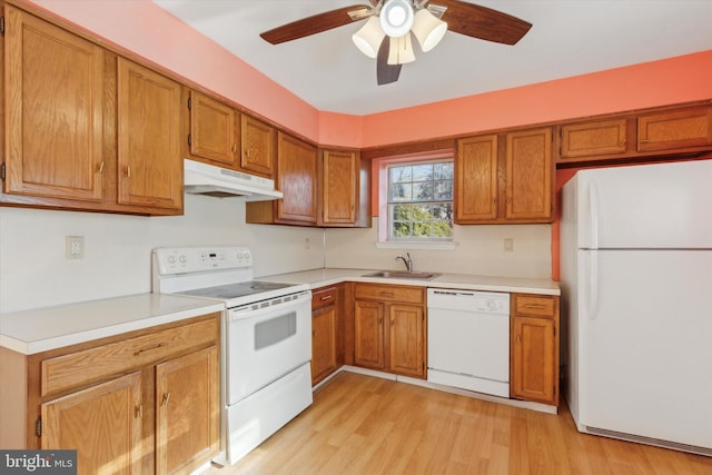 kitchen with ceiling fan, light wood-type flooring, white appliances, and sink