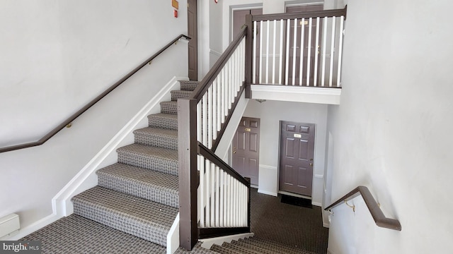 staircase featuring carpet floors