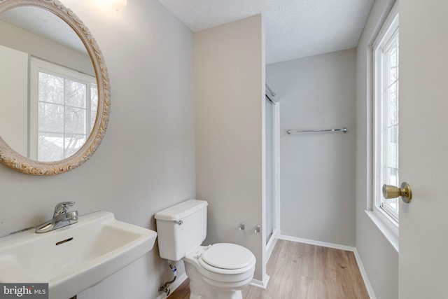 bathroom featuring a shower with shower door, sink, hardwood / wood-style flooring, toilet, and a textured ceiling