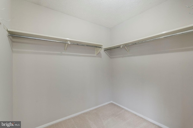 walk in closet featuring light colored carpet