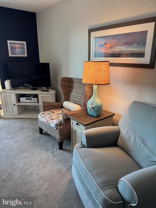 living area featuring carpet floors