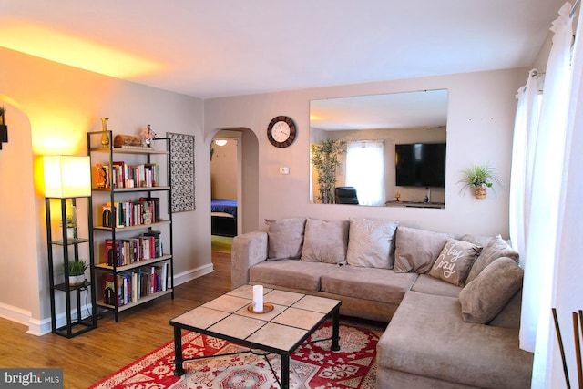 living room featuring hardwood / wood-style floors