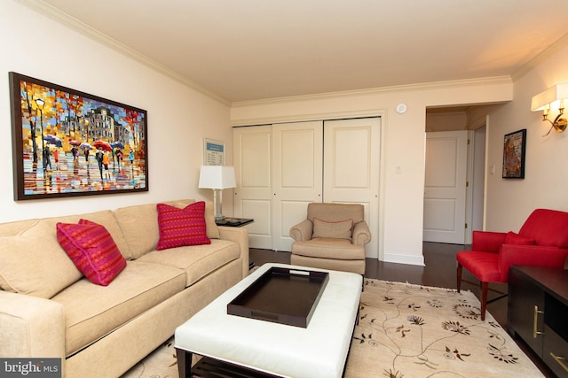 living room featuring hardwood / wood-style floors and ornamental molding