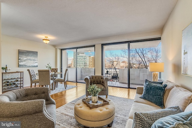 living room featuring a textured ceiling and light hardwood / wood-style floors