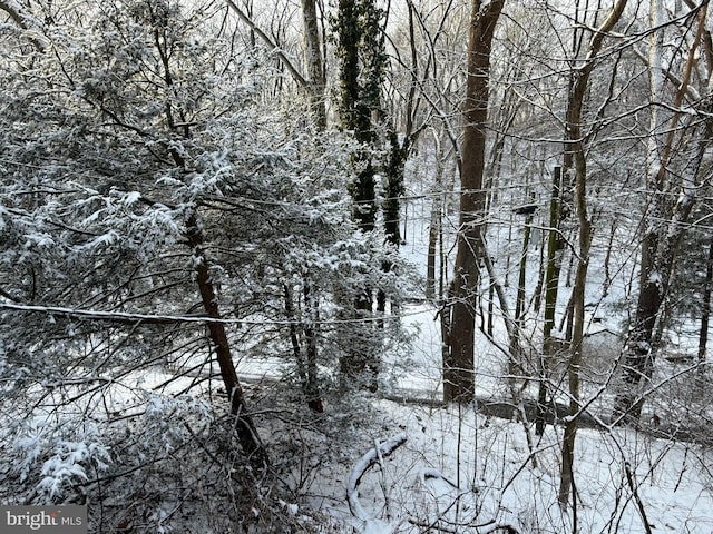 view of snow covered land