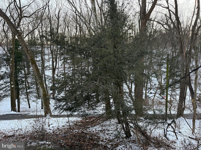 view of snowy landscape