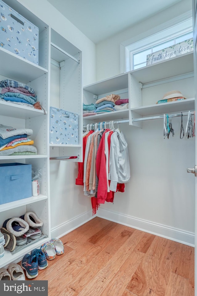 walk in closet featuring light hardwood / wood-style flooring