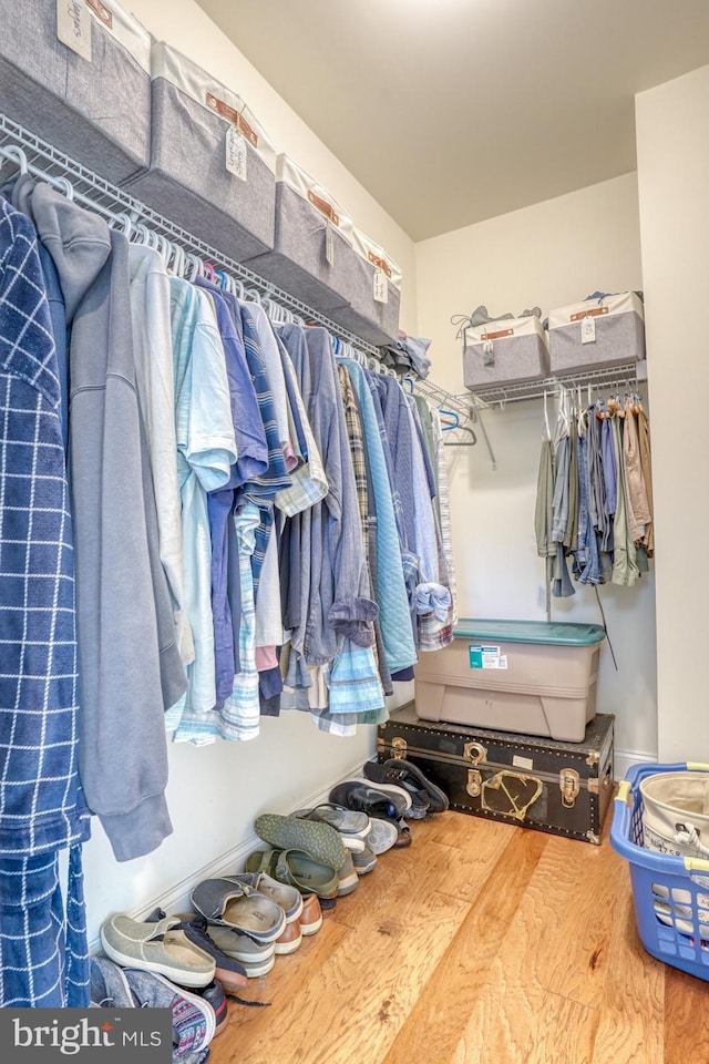 walk in closet with hardwood / wood-style floors