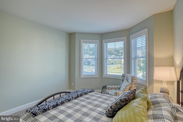 bedroom featuring carpet flooring