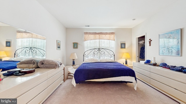 bedroom with light colored carpet