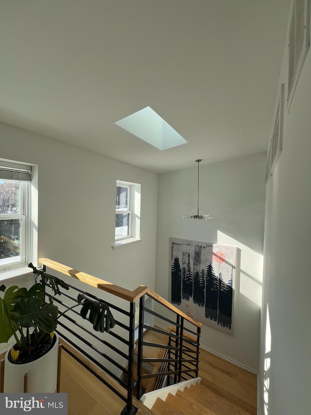 stairway featuring a skylight and hardwood / wood-style floors