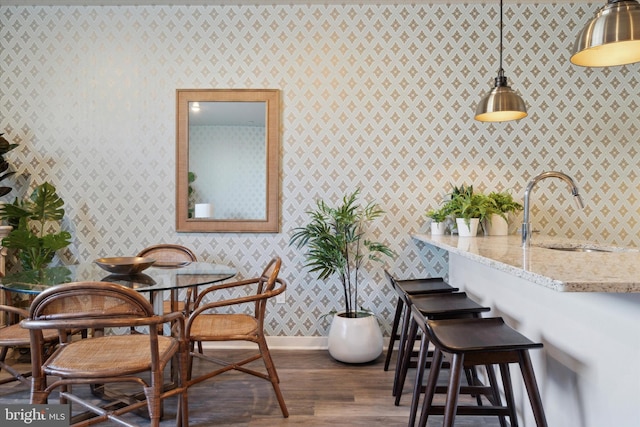 dining room featuring sink and dark wood-type flooring