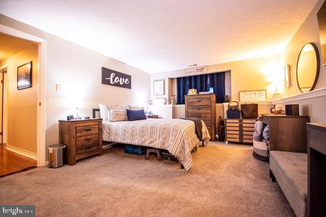 bedroom with carpet flooring