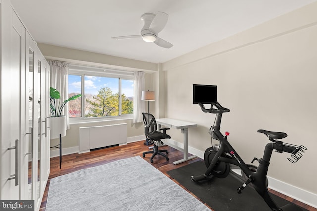 exercise area with radiator, dark wood-type flooring, and ceiling fan