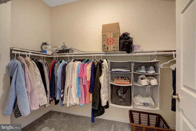 spacious closet featuring carpet flooring