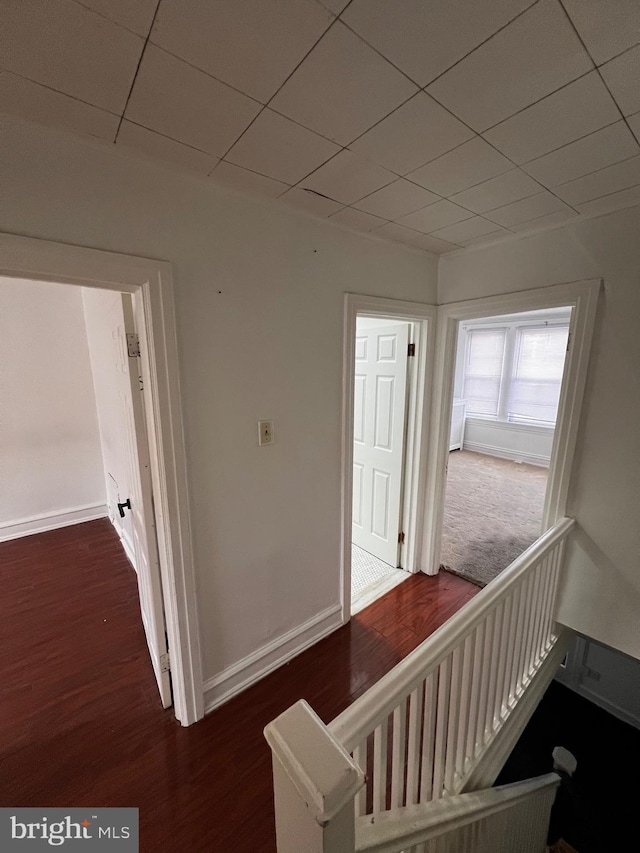 hallway with dark hardwood / wood-style flooring