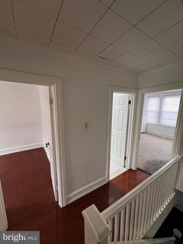 hallway with dark hardwood / wood-style flooring