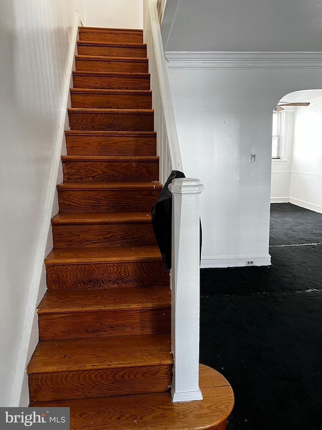 stairs with crown molding