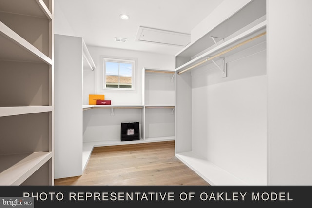 walk in closet featuring light wood-type flooring