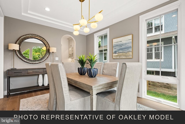 dining room featuring a raised ceiling, an inviting chandelier, and dark wood-type flooring