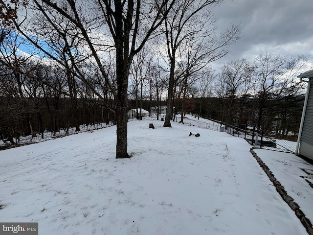 view of yard layered in snow