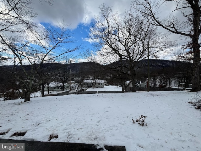 view of snowy yard