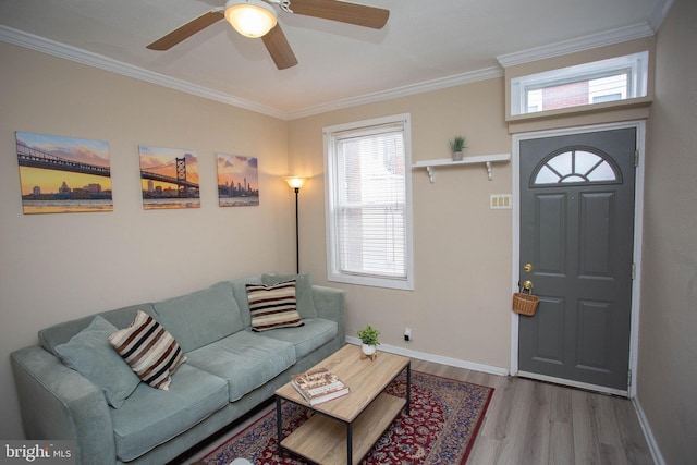 living room featuring ceiling fan, light hardwood / wood-style flooring, and ornamental molding