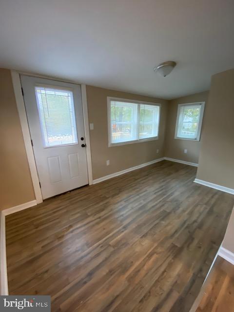 entryway featuring dark hardwood / wood-style floors and a wealth of natural light