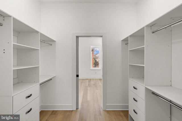 walk in closet featuring light hardwood / wood-style floors