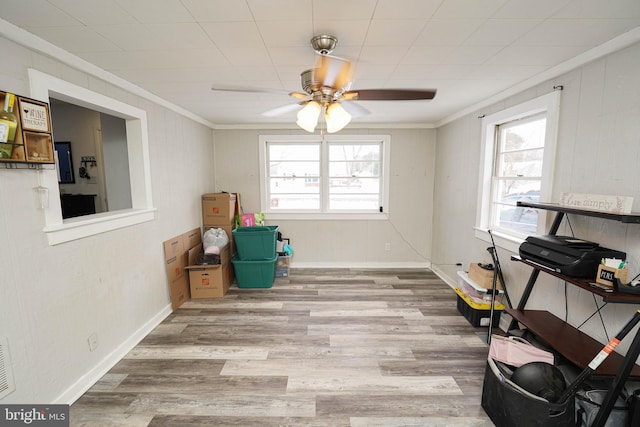 miscellaneous room featuring light hardwood / wood-style floors, ceiling fan, and ornamental molding