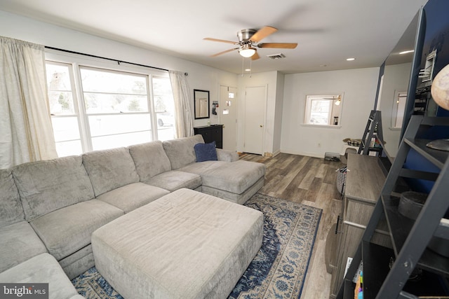 living room with ceiling fan and wood-type flooring