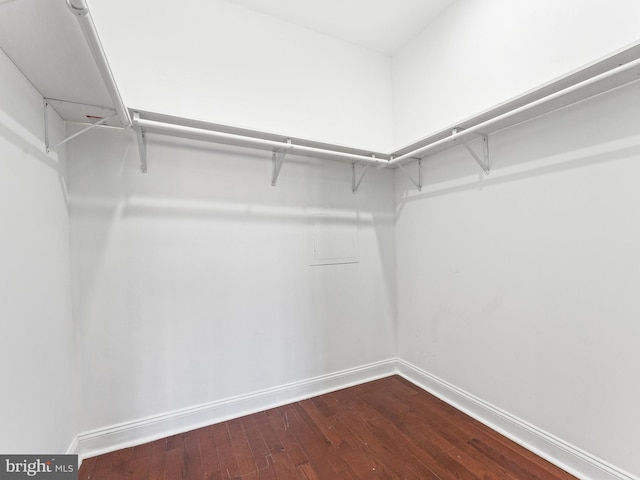 spacious closet with wood-type flooring