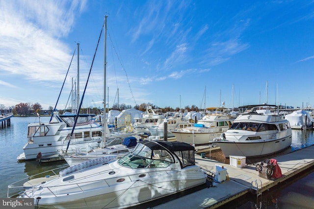 dock area with a water view