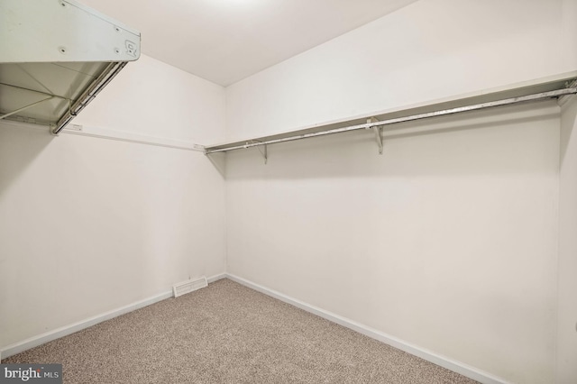 walk in closet with carpet