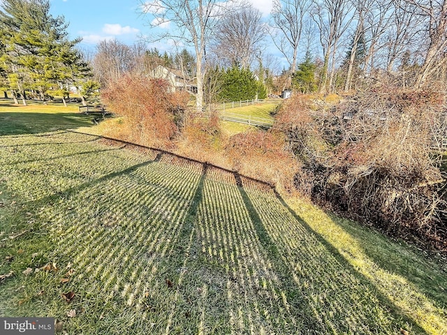 view of yard with a rural view